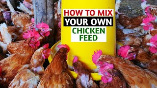 How to Mix Your Own Chicken Feed  Part 2  Feed Formulation [upl. by Merralee]