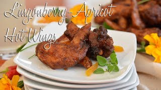 LingonberryApricot Hot Wings [upl. by Nalor]