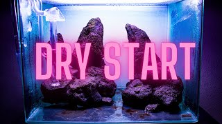 Dry Start Method  HOW TO Grow aquarium moss on your HARDSCAPE [upl. by Marcile31]