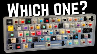 How to Choose the Perfect Switch For YOU [upl. by Behah632]