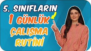 5 Sınıf Öğrencisinin Bir Günlük Ders Çalışma Rutini Nasıl Olmalı [upl. by Analaj537]