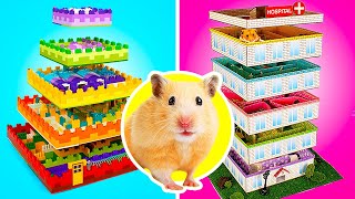 DIY Hamster Mazes  Escape the hamster maze [upl. by Klemperer]