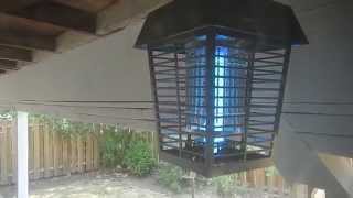 Wasps vs Electric Bug Zapper near Dayton Oregon [upl. by Valda]