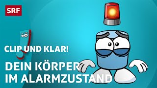 Was ist Stress  SRF Kids – Clip und klar  Für Kinder erklärt [upl. by Autum]