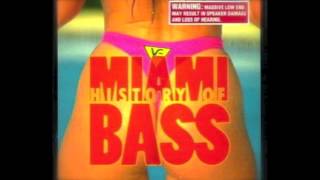 Old School Miami Booty Bass Feat 2 Live Crew Maggotron LTrimm 69 Boyz amp More [upl. by Nylidnarb]