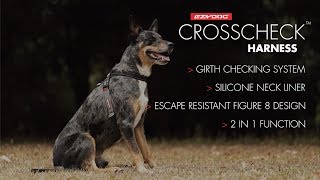 How to use a Dog Training Harness  EzyDog Crosscheck Harness [upl. by Hacim]