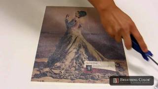 Using Timeless Varnish to Protect Fine Art Paper Prints [upl. by Fujio677]