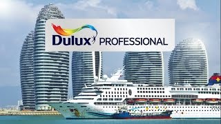 Introducing Dulux Professional [upl. by Cowden]