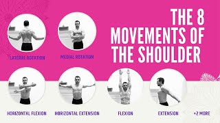 Shoulder Joint Movement [upl. by Holmann]