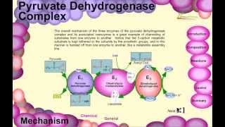 Biosynthesis of Gibberelins [upl. by Ahsinyt]