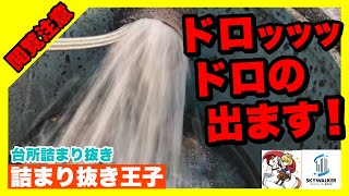 【詰まり抜き】職人が台所の排水管を高圧洗浄したらで溜まったドロドロの油汚れが大量に出てきました！排水管を高圧洗浄できれいに掃除！すっきり！drain排水溝掃除現場 [upl. by Macur]