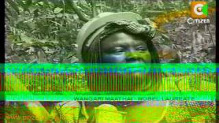 Life and Times of Wangari Maathai [upl. by O'Brien580]