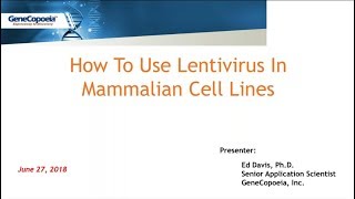 How To Use Lentivirus In Mammalian Cell Lines [upl. by Misaq]