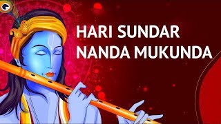 Hari Sundar Nanda Mukunda Song  Best Krishna Bhajans [upl. by Lindo83]