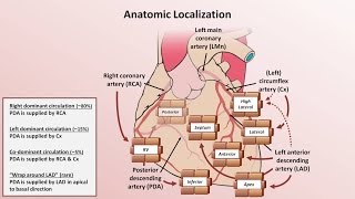 Intro to EKG Interpretation  Myocardial Infarctions Part 1 of 2 [upl. by Arikal]