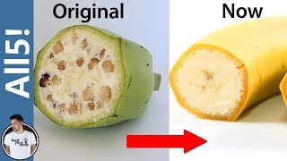 5 Foods Genetically Modified Beyond Recognition [upl. by Eneli66]