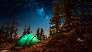 Campfire Sounds  Relaxing Forest and Nature Soundscape Camping Under the Stars [upl. by Araiet]