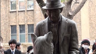 Unveiling of statue depicting Hachi and his owner [upl. by Ulund]