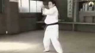 Kyokushin Kata  Sushiho [upl. by Lopes]