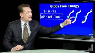 Gibbs Free Energy [upl. by Ainocal]