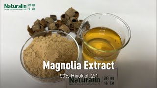 Magnolia Extract [upl. by Ive700]