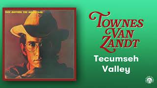 Townes Van Zandt  Tecumseh Valley Official Audio [upl. by Haidebez]