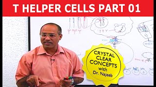 T Helper Cells  Immunology  Part 110 [upl. by Attenor]