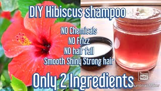 Homemade shampoo ONLY 2 ingredients Get Frizzfree Strong Smooth Silky Long Hair [upl. by Cawley680]