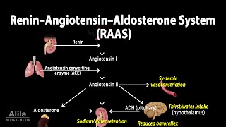 Diabetes Insipidus DI Causes Symptoms Diagnosis and treatment [upl. by Ettenirt]