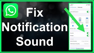 How To Fix WhatsApp Notification Sound EASY [upl. by Ecertap891]