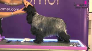 How to groom a Cocker Spaniel  Coat King  Grooming Guide Pro Groomer [upl. by Enylecoj]