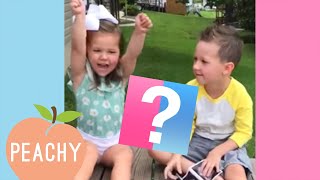 You Will Love These Funny and Adorable Reactions  Gender Reveal 2019 [upl. by Iilek]