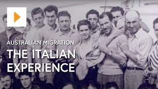 Australian Migration The Italian Experience [upl. by Zertnom331]