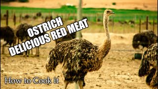 How to Cook Ostrich Meat [upl. by Suter]