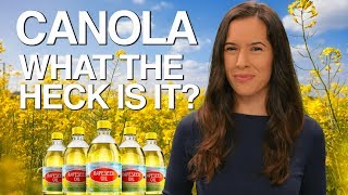 Canola What the Heck Is It [upl. by Esli252]