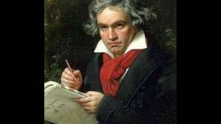 Beethoven 5th Symphony 3rd movement Allegro [upl. by Yenar]