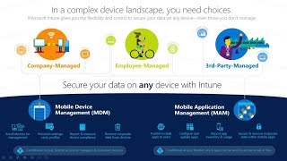 Intune MAM vs MDM Whats the Difference [upl. by Nadaha674]