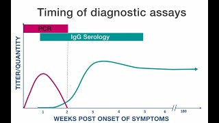 Rickettsial Disease Diagnostic Testing and Interpretation [upl. by Toshiko]