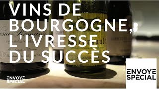 Envoyé spécial Vins de Bourgogne livresse du succès  18 octobre 2018 France 2 [upl. by Annabel]