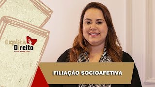 Explica Direito Filiação Socioafetiva  2019 [upl. by Annaor]