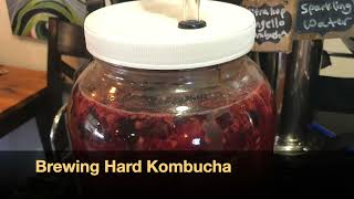 Brewing Hard  Alcoholic Kombucha [upl. by Ecirtaeb743]