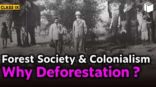 Why Deforestation  Forest Society amp Colonialism  Chapter 4  History  Class 9  PuStack [upl. by Sancho603]