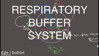 Respiratory Buffer System [upl. by Cleodell]