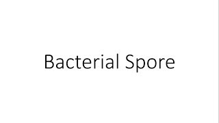 Bacterial Spore  Microbiology [upl. by Cirone]