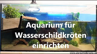 Aquarium für WasserschildkrötenHaltung einrichten [upl. by Ihsir464]