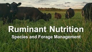 Ruminant Nutrition Species and Forage Management [upl. by Jens]