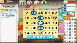 How to play BINGO Blitz [upl. by Hengel]