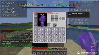 Duping TRILLIONS on a Famous Pay2Win Server HylexMC [upl. by Wincer898]