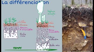 Le sol et sa formation [upl. by Omolhs296]