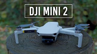 DJI Mini 2 Drone  Handson Review [upl. by Siradal150]